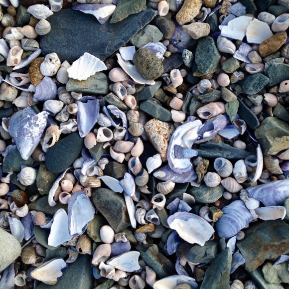 starboardstone